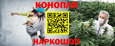 a pvp Чебоксары