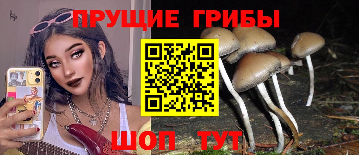 Галлюциногенные грибы мицелий Людиново